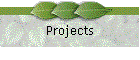 Projects