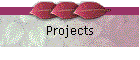 Projects