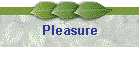 Pleasure